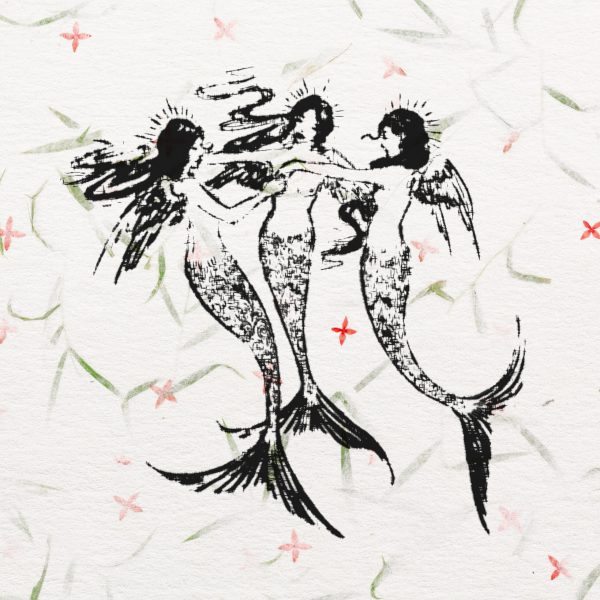 mermaid dried paper